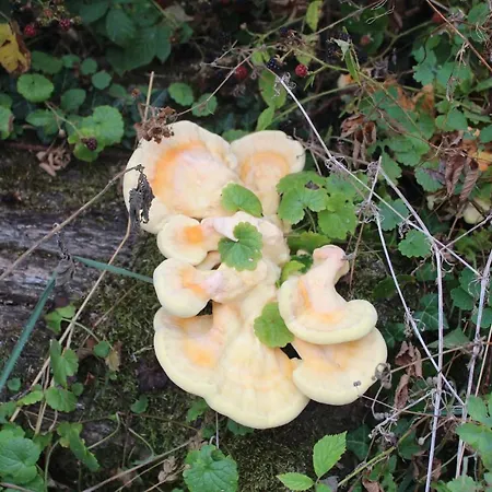 Dans La Creuse Panzió *