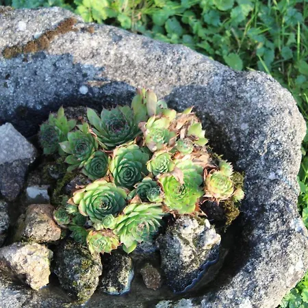 Bed & Breakfast Dans La Creuse *
